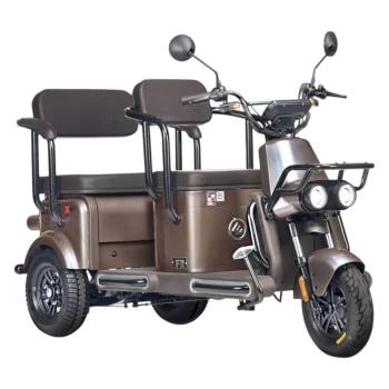 Электротрицикл Wanshida U1-X 60V 800Вт Коричневый