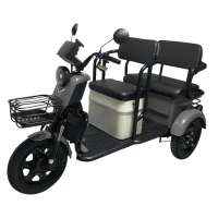 Электротрицикл Yasmand R12 Li-ion Серый